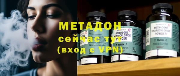 индика Бородино