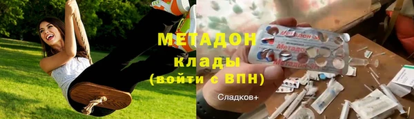 индика Бородино