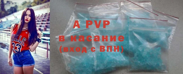 индика Бородино