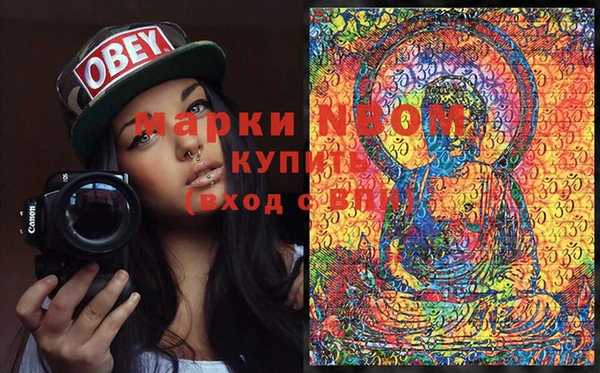 индика Бородино