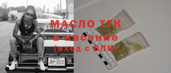 индика Бородино