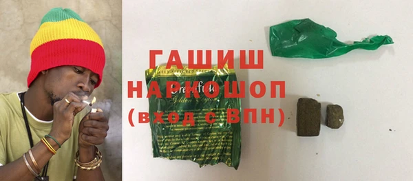 индика Бородино