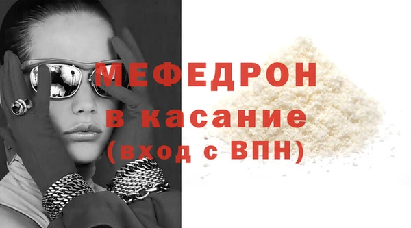 индика Бородино