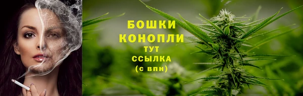 индика Бородино