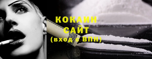 индика Бородино