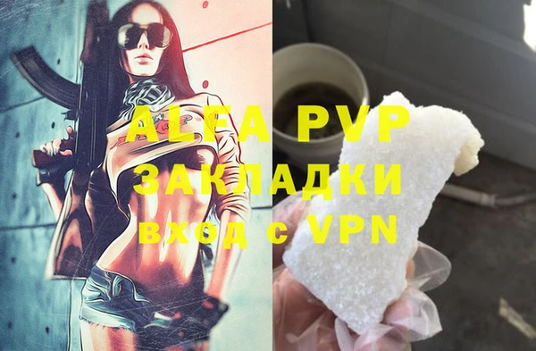 индика Бородино