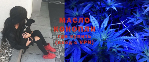 индика Бородино