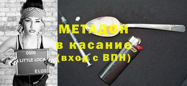 индика Бородино