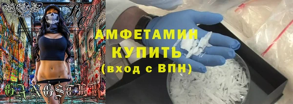 индика Бородино