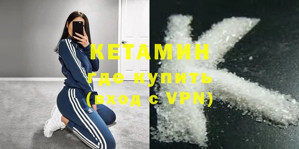 индика Бородино