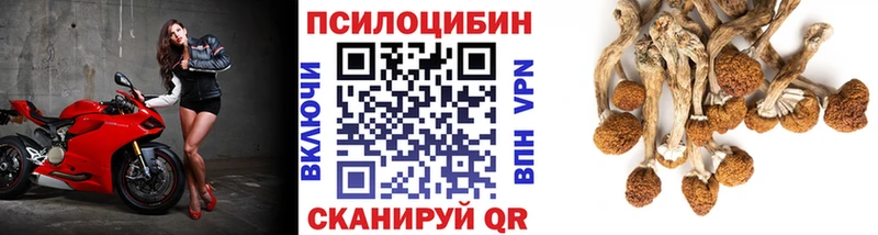 OMG ССЫЛКА  Кириши  Псилоцибиновые грибы Magic Shrooms 
