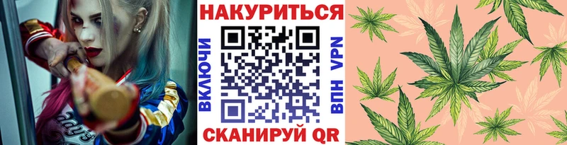 Каннабис OG Kush  Кириши 